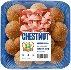 Chestnut packaging
