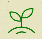 Cultivados en EE.UU.